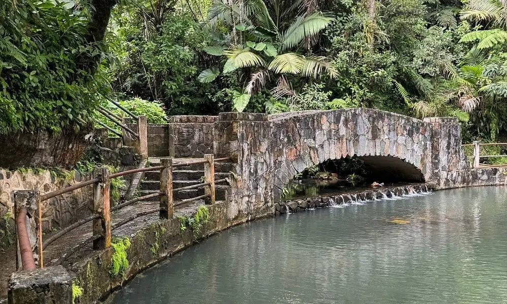 Stone bridge over a natural pool in El Yunque