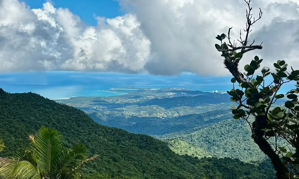 Mountain-to-ocean vista from El Yunque heights