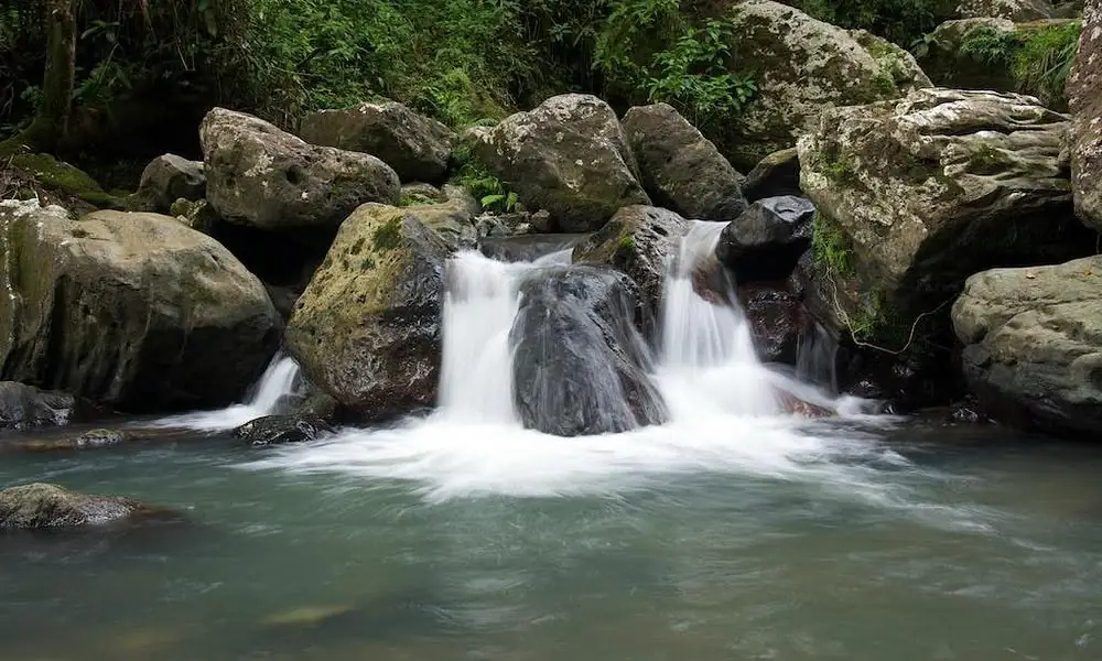 Serene waterfall flowing into a clear rainforest pool