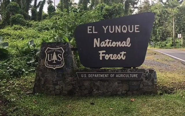 Official El Yunque National Forest entrance sign